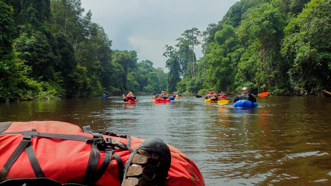 nhung tour kham pha dong vat hoang da hap dan nhat the gioi hinh anh 2