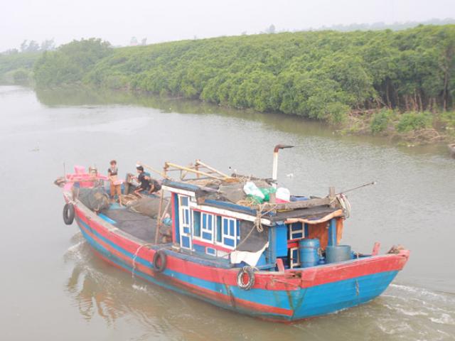 Đi trú bão, tàu hàng và 13 người mất tích trong đêm