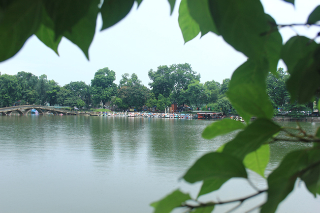 ha noi: man nhan cay sung qua moc chi chit canh ho thu le hinh anh 9