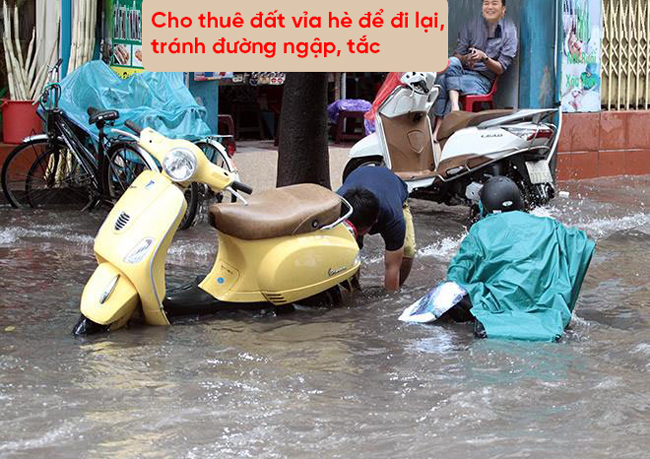 anh che nhan dip ha noi lai mua - ngap 