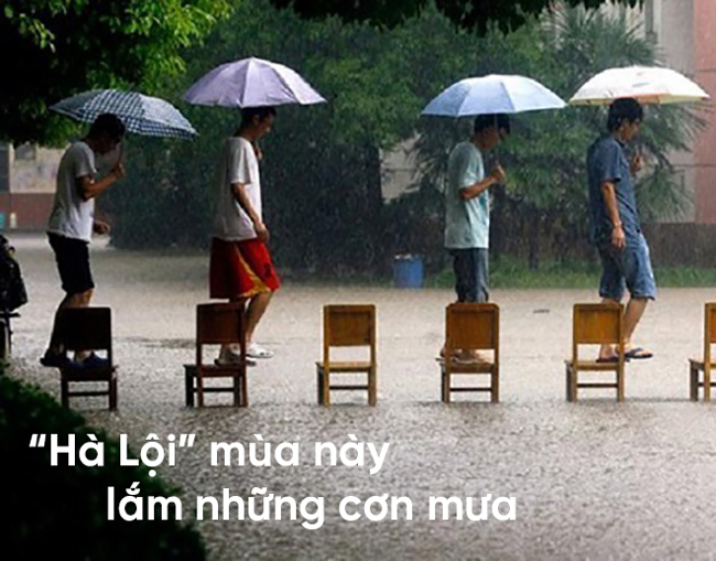 anh che nhan dip ha noi lai mua - ngap 