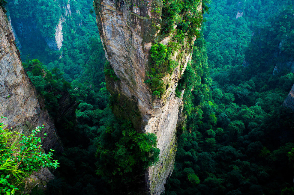 Công Viên Thiên Nhiên Dãy Núi Tianzi Avatar Wulingyuan Trung Quốc Hình ảnh  Sẵn có  Tải xuống Hình ảnh Ngay bây giờ  iStock