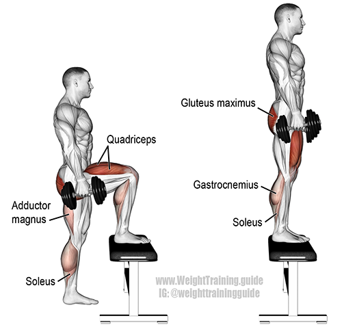 Động tác này sẽ tác động trực tiếp lên các nhóm cơ đùi và bắp chân