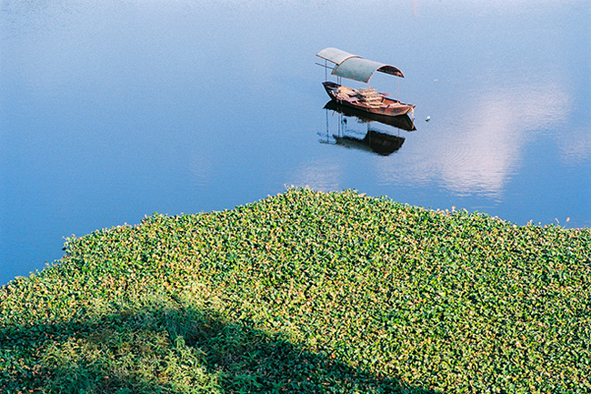 ngam ha noi dep, doc, la qua lang kinh may anh phim hinh anh 7