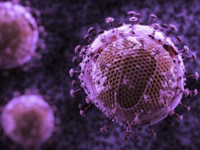 Siêu kháng thể mới diệt 99% HIV