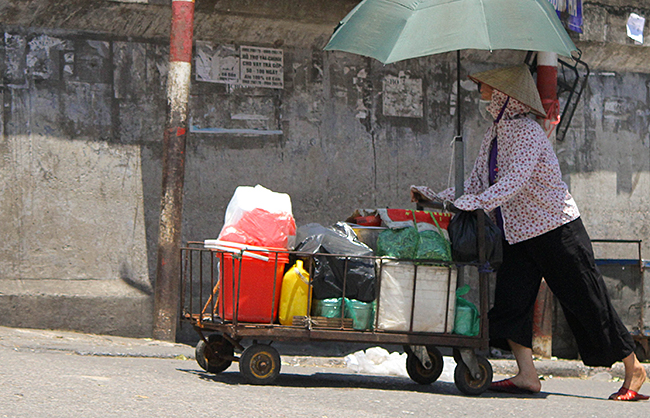 anh: nhung manh doi muu sinh duoi nang nong hon 40 do c hinh anh 2