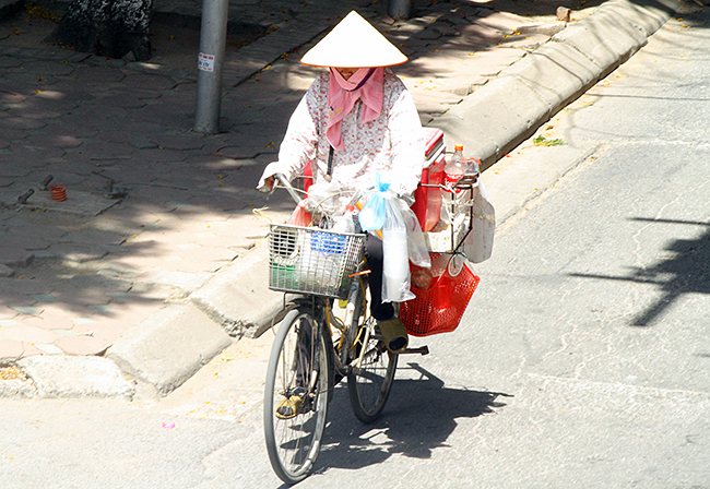 anh: nhung manh doi muu sinh duoi nang nong hon 40 do c hinh anh 8