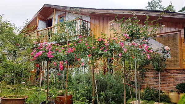 Ngôi nhà gỗ giữa vườn hồng rộng 1.000 m2 đẹp như cổ tích ở Đà Lạt
