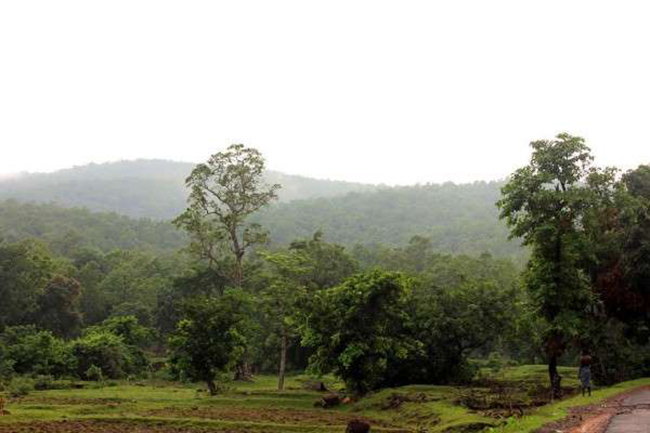 cac tour du lich an do chac chan chua dua ban toi nhung diem den dep tuyet nay hinh anh 6