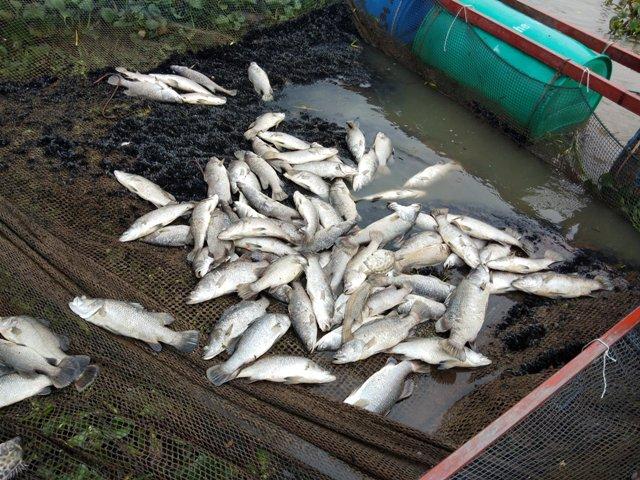 Hà Tĩnh: 2 người thiệt mạng do đi đánh cá trong mưa lũ