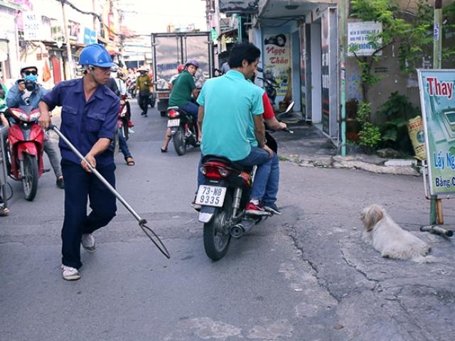 Sau “dẹp loạn” vỉa hè, ông Đoàn Ngọc Hải muốn bắt chó chạy rông ở trung tâm