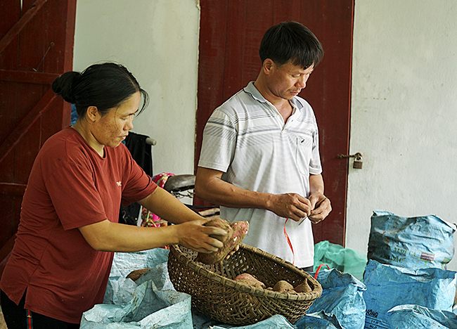 anh: nhieu dong dua hau tai thanh hoa mat trang do mua lon keo dai hinh anh 9