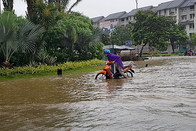 anh: bi hai boi xuong tren duong ngap trong khu do thi o ha noi hinh anh 5