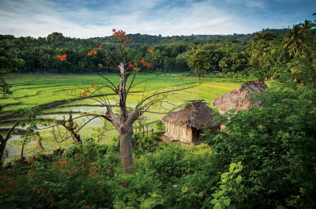 nhung tour du lich chau a hap dan nhat, khong the bo qua trong nam nay hinh anh 1