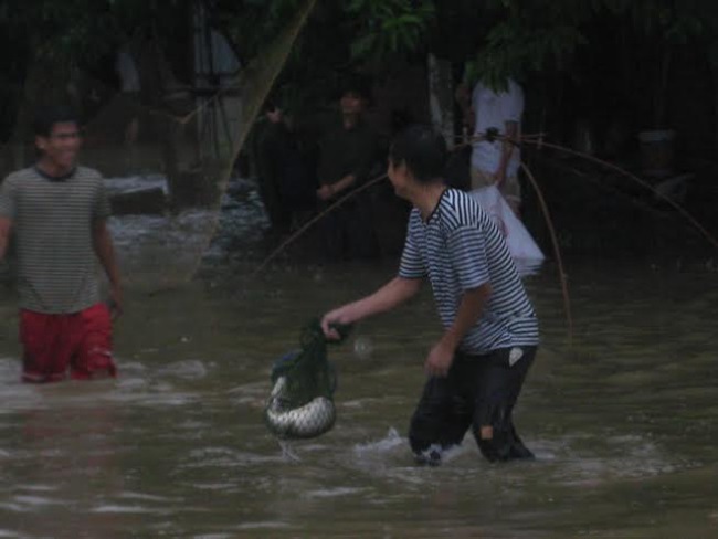 anh tran lut lich su nam 2008 o ha noi: 10 nam nhin lai van choang hinh anh 10