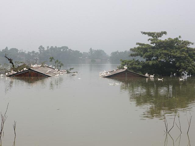 Xót lòng cảnh hoang tàn trong những ngôi nhà ngập nước ở ”ốc đảo” Chương Mỹ