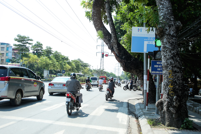 anh: hang loat cay doa do gay tren pho ha noi hinh anh 2