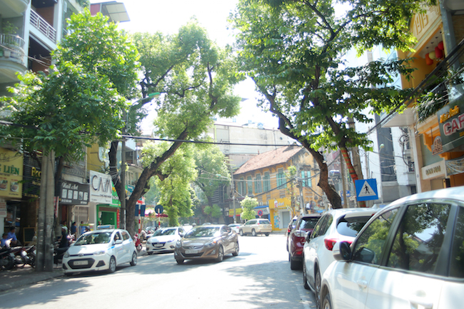 anh: hang loat cay doa do gay tren pho ha noi hinh anh 9