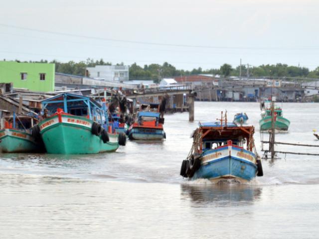 Cà Mau: Cử 6 người đi học tập kinh nghiệm quản lý tàu cá ở Thái Lan