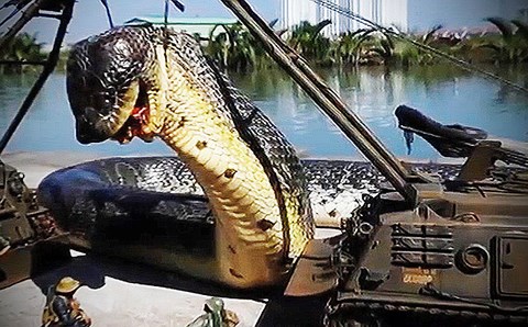 Quái vật rắn khổng lồ Titanoboa vẫn còn sống ở rừng Amazon