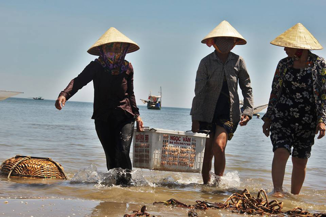 duoc mua ruoc bien, ngu dan ha tinh dem tien moi tay hinh anh 10