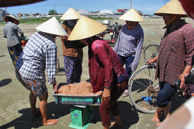 duoc mua ruoc bien, ngu dan ha tinh dem tien moi tay hinh anh 12