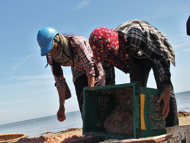 duoc mua ruoc bien, ngu dan ha tinh dem tien moi tay hinh anh 15