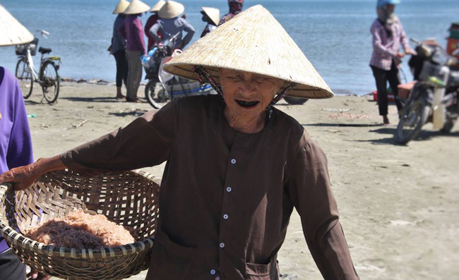 duoc mua ruoc bien, ngu dan ha tinh dem tien moi tay hinh anh 17