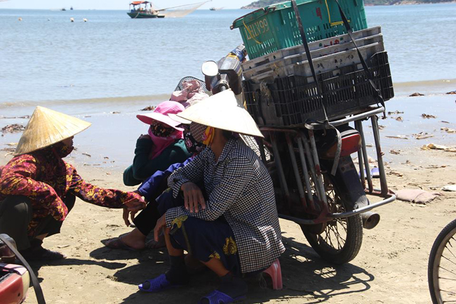 duoc mua ruoc bien, ngu dan ha tinh dem tien moi tay hinh anh 9