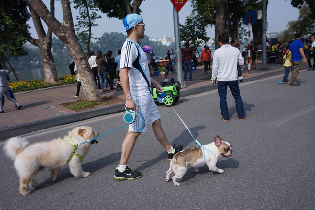 anh: e so canh cho khong ro mom tren pho di bo ha noi hinh anh 7