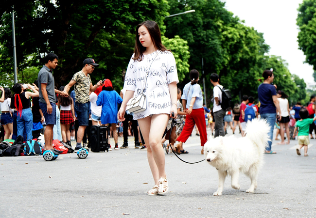 anh: e so canh cho khong ro mom tren pho di bo ha noi hinh anh 8