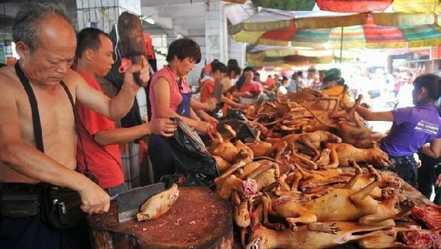 Kinh đô thịt chó Nhật Tân nổi tiếng với những món ăn đặc sản từ thịt chó cực kỳ hấp dẫn và độc đáo. Hãy cùng khám phá những hình ảnh về các món ăn này để tận hưởng hương vị và tìm hiểu về văn hóa ẩm thực độc đáo của xứ sở hoa anh đào.