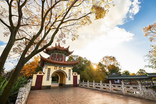 hoa minh voi thien nhien tai 