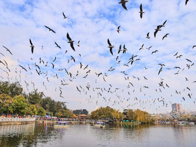 Hòa mình với thiên nhiên tại ”thành phố mùa xuân vĩnh cửu” đẹp mê mẩn