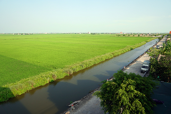 Ninh Bình là quê hương của tôi, nơi đây mang đến sự yên bình trong từng khung cảnh. Ảnh quê hương Ninh Bình sẽ giúp bạn cảm nhận được vẻ đẹp hoang sơ, tươi đẹp và gần gũi với thiên nhiên thiên nhiên của vùng đất này.