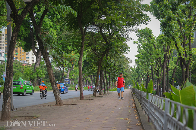 anh: nhung con duong 