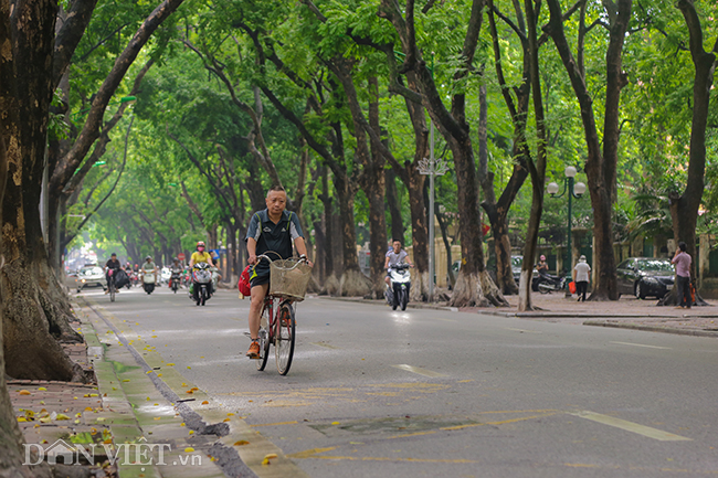 anh: nhung con duong 