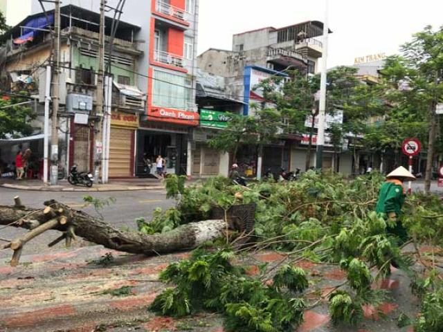 TRỰC TIẾP: Bão số 2 đổ bộ đất liền, 2 người tử vong ở Thanh Hóa