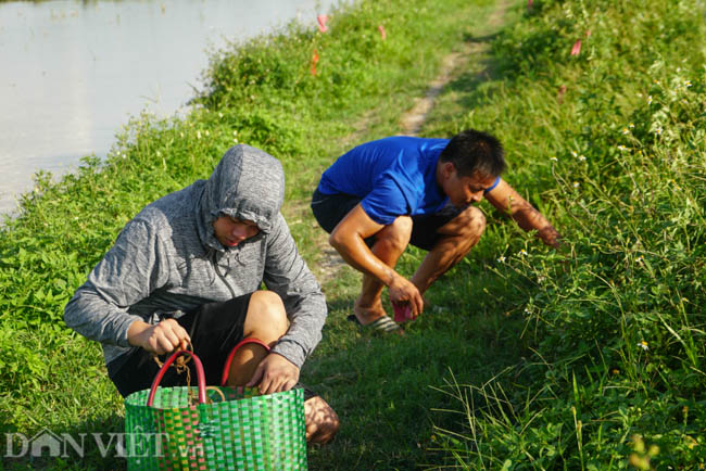 Từ nhà tới nơi đặt bẫy