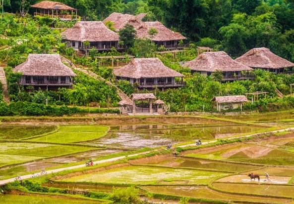 Mai Châu: Du lịch Mai Châu, vùng đất của sắc vàng lúa chín và nắng vàng ấm áp, đang chờ đón bạn đến tham quan. Những ngôi nhà cổ truyền, những cánh đồng rộng lớn và những bản làng độc đáo sẽ khiến cho bạn có một trải nghiệm tuyệt vời. Hãy cùng khám phá nét văn hóa độc đáo của đại địa chấn tại Mai Châu.