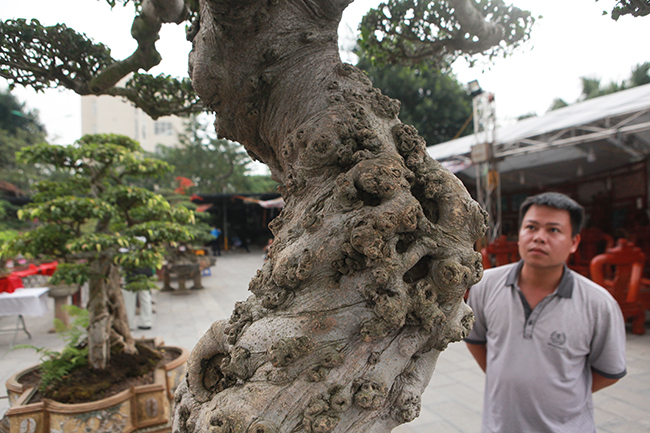 chiem nguong sieu pham “guom bau truyen ky” cua dai gia dat viet tri hinh anh 10