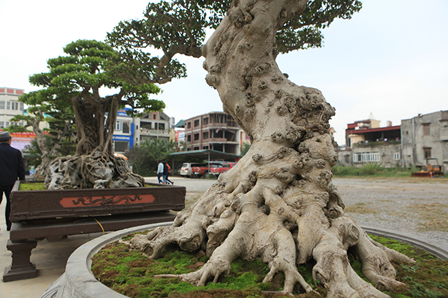 chiem nguong sieu pham “guom bau truyen ky” cua dai gia dat viet tri hinh anh 14