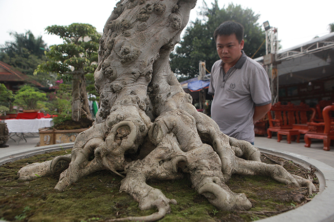 chiem nguong sieu pham “guom bau truyen ky” cua dai gia dat viet tri hinh anh 3