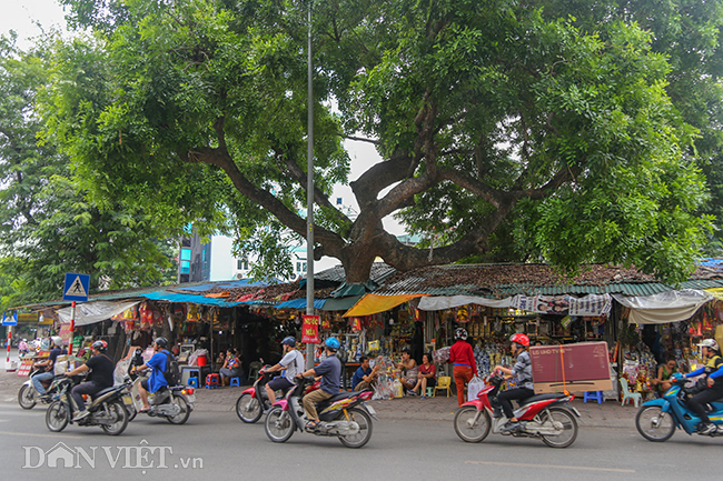 anh: nhieu ngoi nha o ha noi 