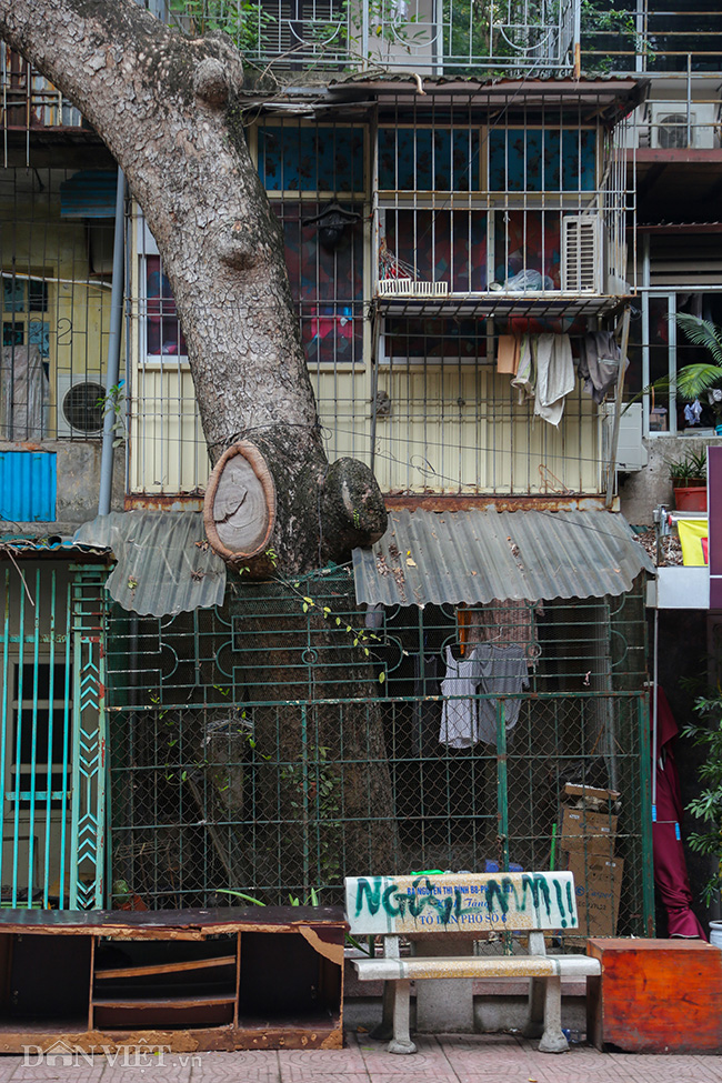 anh: nhieu ngoi nha o ha noi 