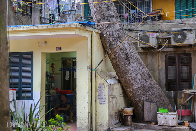 anh: nhieu ngoi nha o ha noi 