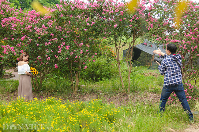 anh: thieu nu e ap ben sac hong hoa tuong vi hinh anh 10