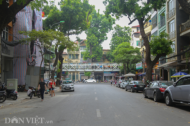 anh: nhung con pho sieu ngan di bo chua het 1 phut o ha noi hinh anh 8