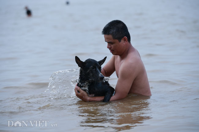 bai tam tu phat duoi chan cau bien song hong thanh 