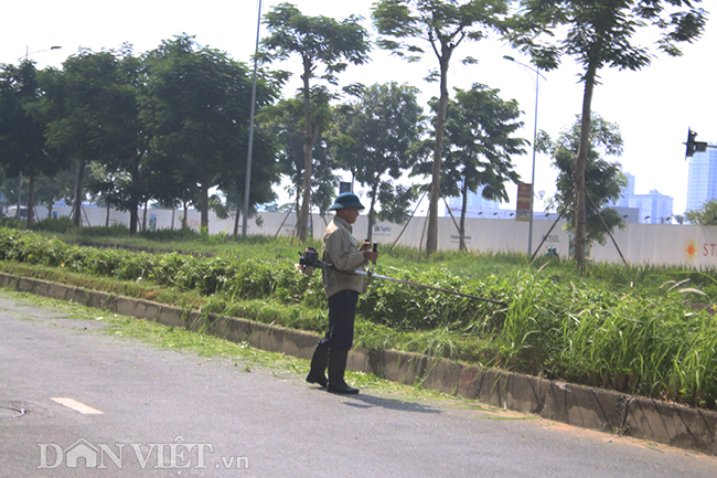 anh: bien ten duong tu phat ngo minh duong da bi thao do sach hinh anh 9